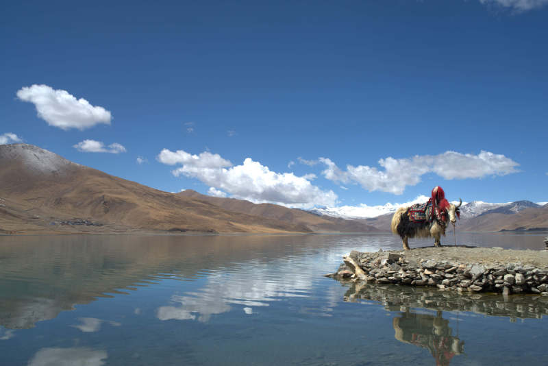 羊湖、チベット